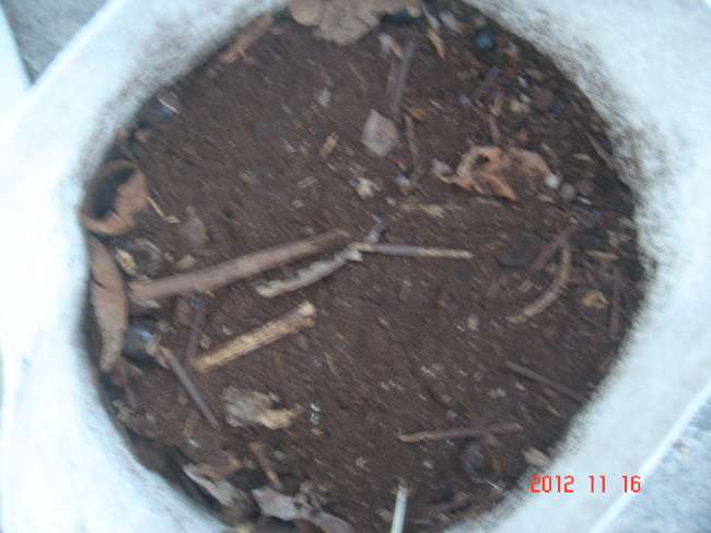 «ö¦¹¦b·sµøµ¡ÂsÄý¹Ï¤ù