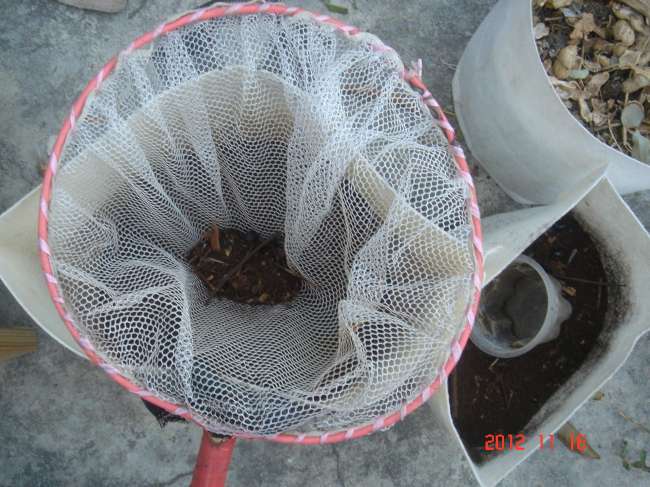 «ö¦¹¦b·sµøµ¡ÂsÄý¹Ï¤ù