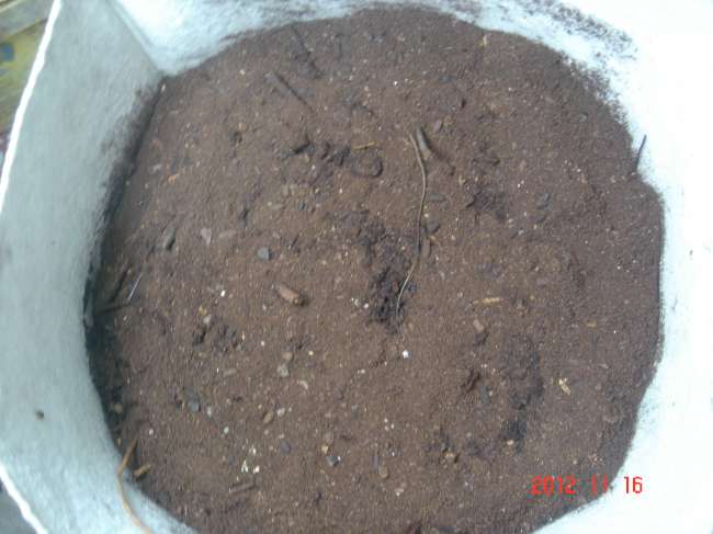 «ö¦¹¦b·sµøµ¡ÂsÄý¹Ï¤ù