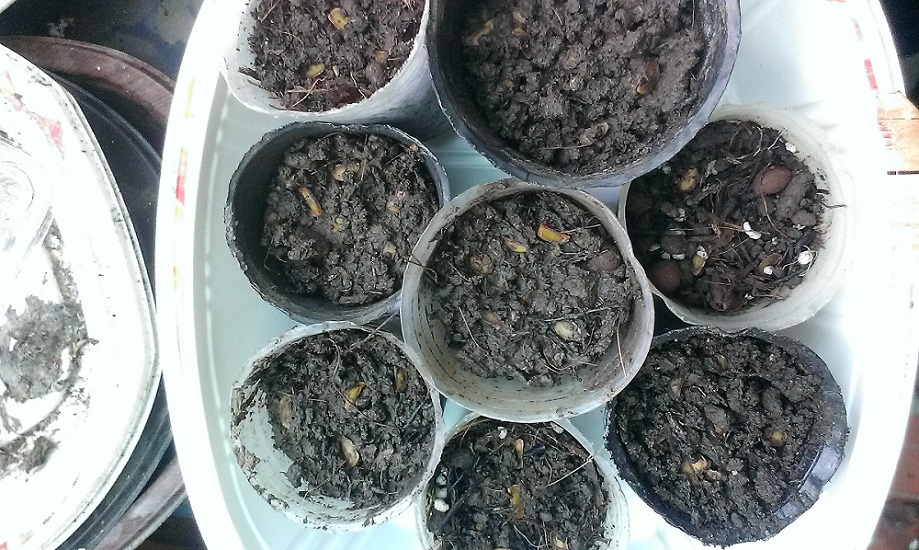 «ö¦¹¦b·sµøµ¡ÂsÄý¹Ï¤ù