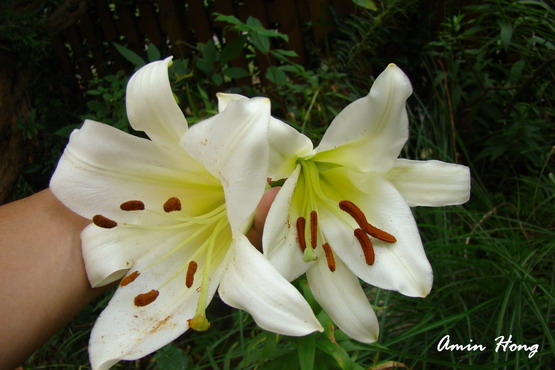 «ö¦¹¦b·sµøµ¡ÂsÄý¹Ï¤ù