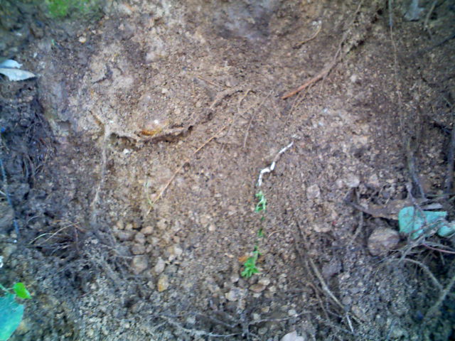 «ö¦¹¦b·sµøµ¡ÂsÄý¹Ï¤ù