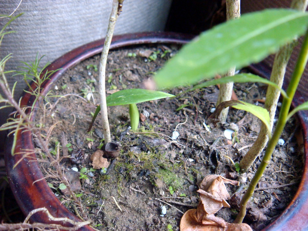 «ö¦¹¦b·sµøµ¡ÂsÄý¹Ï¤ù