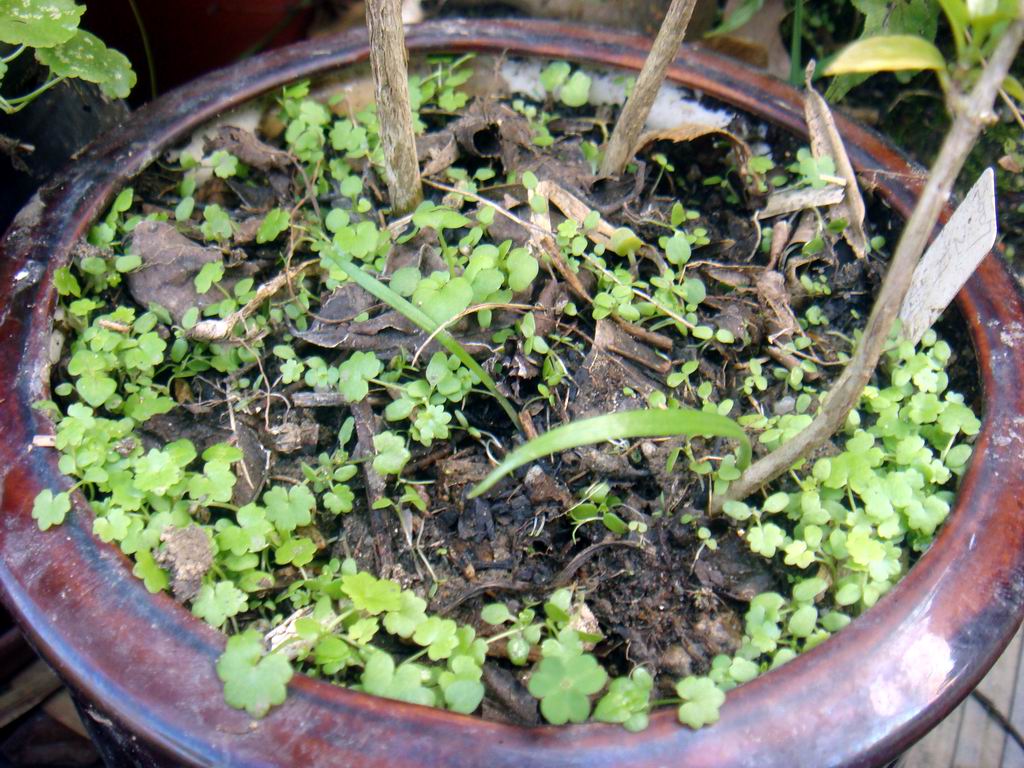 «ö¦¹¦b·sµøµ¡ÂsÄý¹Ï¤ù