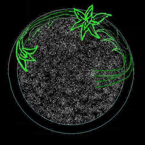 按此在新視窗瀏覽圖片