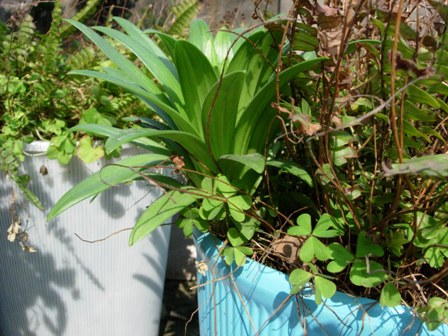 按此在新視窗瀏覽圖片