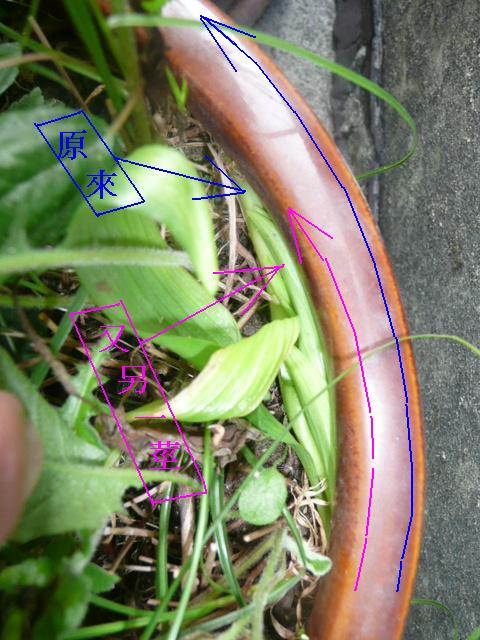 按此在新視窗瀏覽圖片