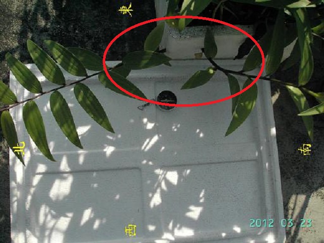 按此在新視窗瀏覽圖片