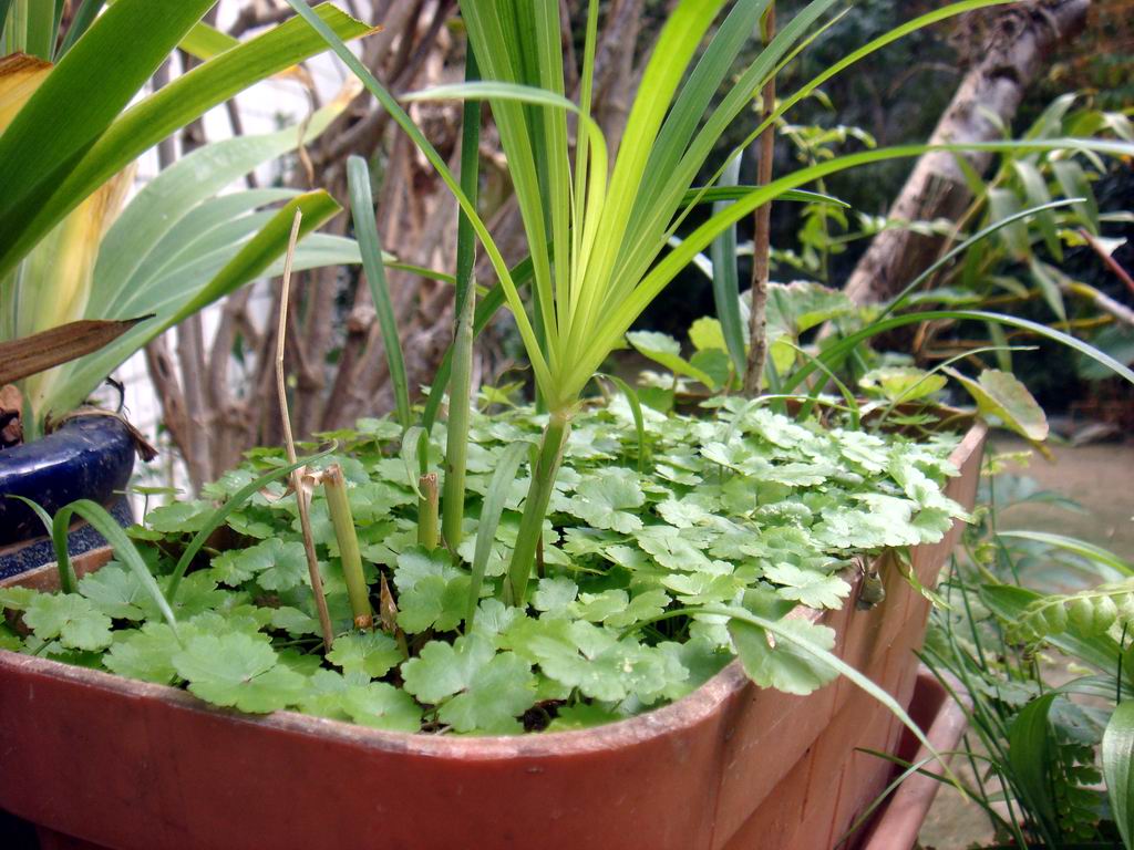 «ö¦¹¦b·sµøµ¡ÂsÄý¹Ï¤ù