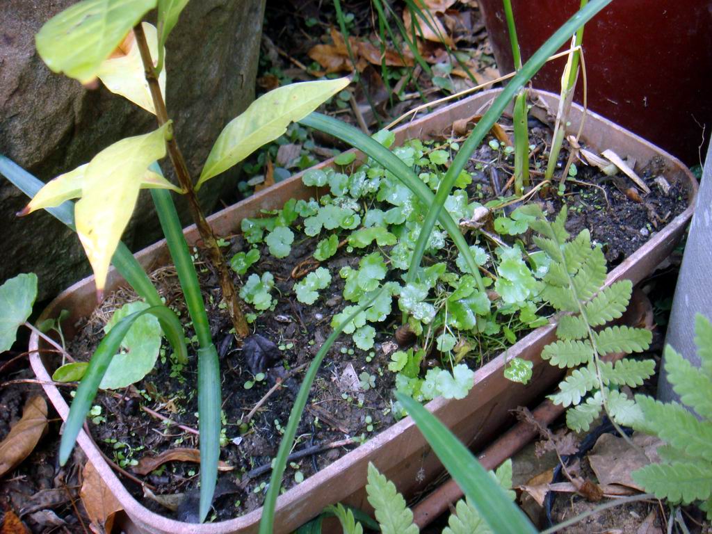 «ö¦¹¦b·sµøµ¡ÂsÄý¹Ï¤ù