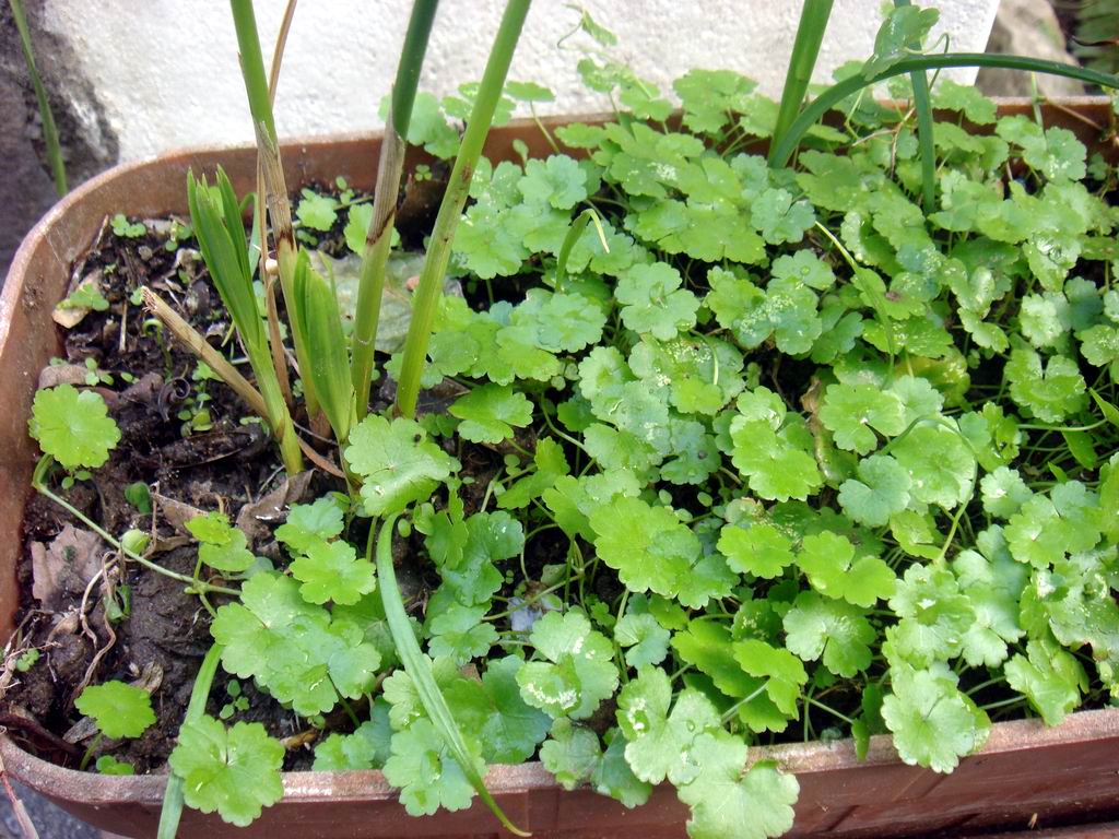 «ö¦¹¦b·sµøµ¡ÂsÄý¹Ï¤ù