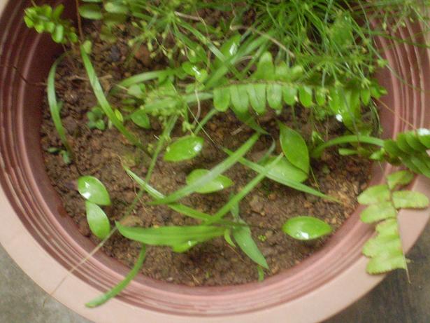 «ö¦¹¦b·sµøµ¡ÂsÄý¹Ï¤ù