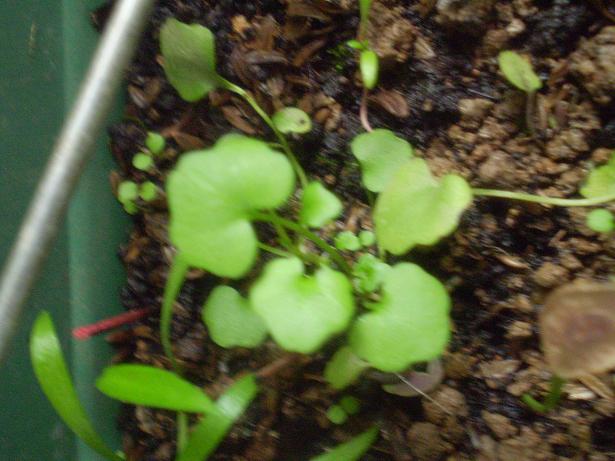 «ö¦¹¦b·sµøµ¡ÂsÄý¹Ï¤ù