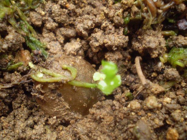 «ö¦¹¦b·sµøµ¡ÂsÄý¹Ï¤ù