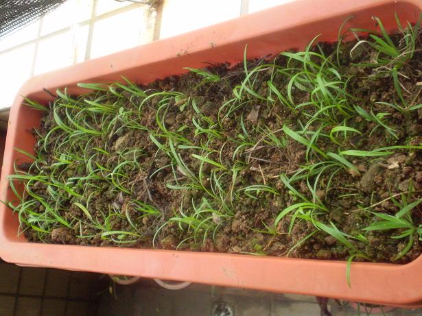 «ö¦¹¦b·sµøµ¡ÂsÄý¹Ï¤ù