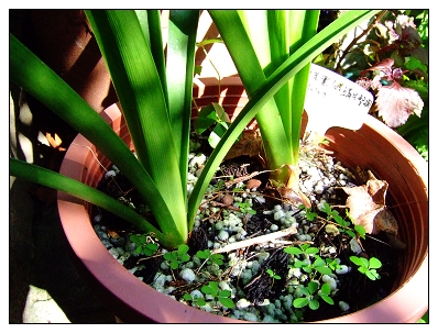 «ö¦¹¦b·sµøµ¡ÂsÄý¹Ï¤ù