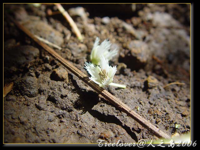 «ö¦¹¦b·sµøµ¡ÂsÄý¹Ï¤ù