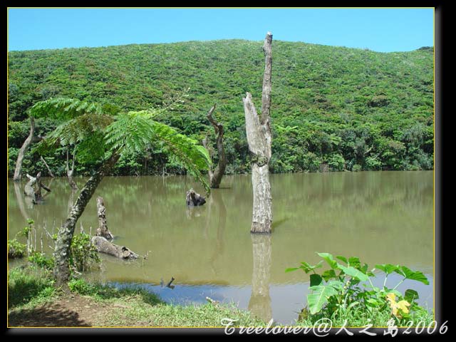 «ö¦¹¦b·sµøµ¡ÂsÄý¹Ï¤ù