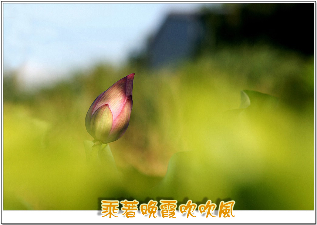 «ö¦¹¦b·sµøµ¡ÂsÄý¹Ï¤ù