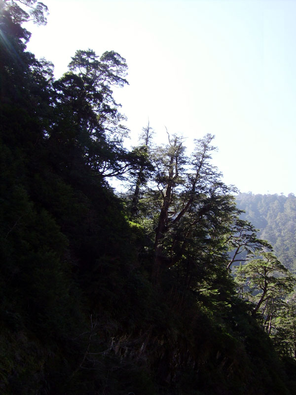 按此在新視窗瀏覽圖片