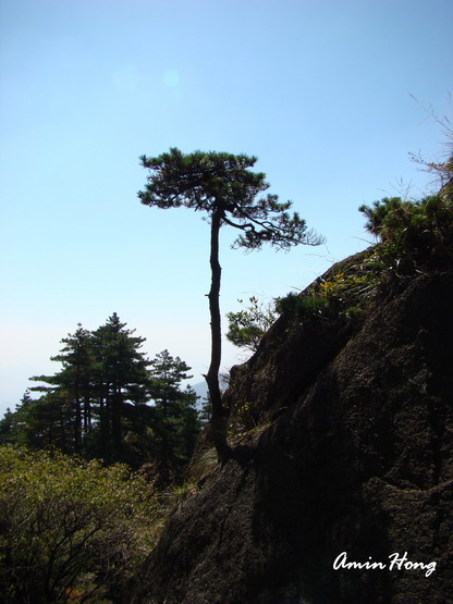 «ö¦¹¦b·sµøµ¡ÂsÄý¹Ï¤ù