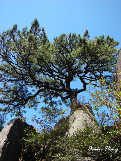 «ö¦¹¦b·sµøµ¡ÂsÄý¹Ï¤ù