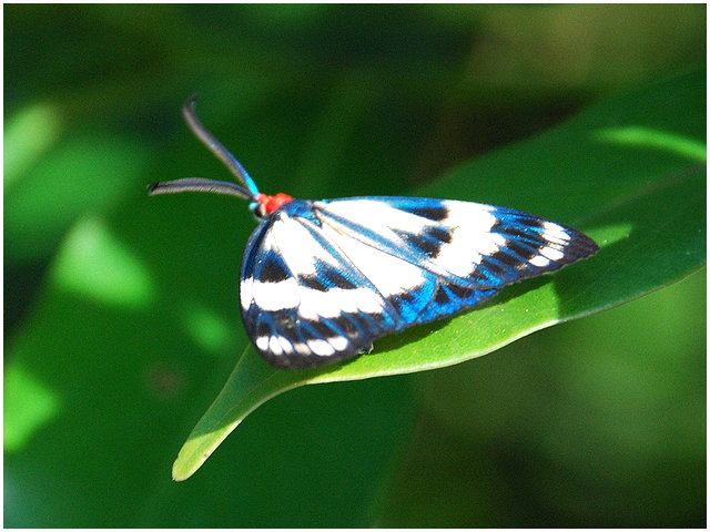 按此在新視窗瀏覽圖片