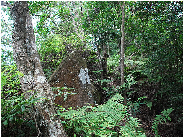 按此在新視窗瀏覽圖片