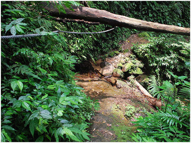 按此在新視窗瀏覽圖片