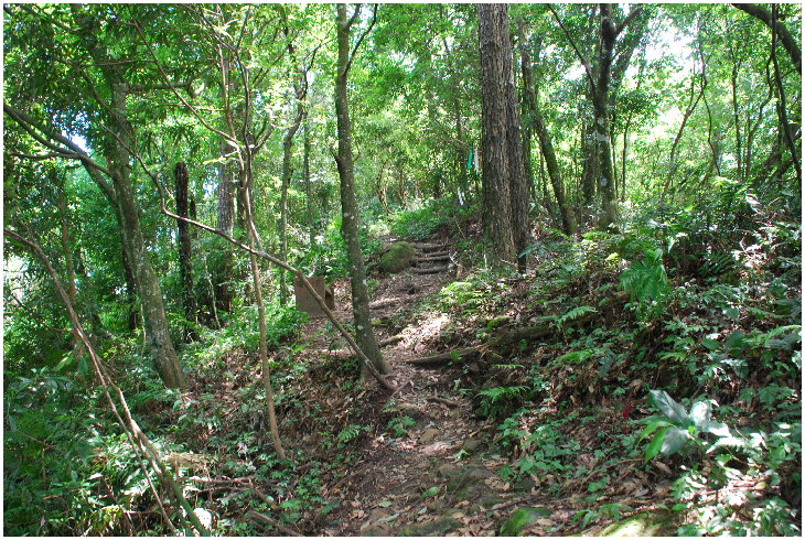 按此在新視窗瀏覽圖片