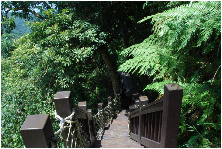 按此在新視窗瀏覽圖片