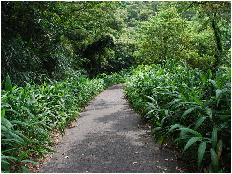 按此在新視窗瀏覽圖片
