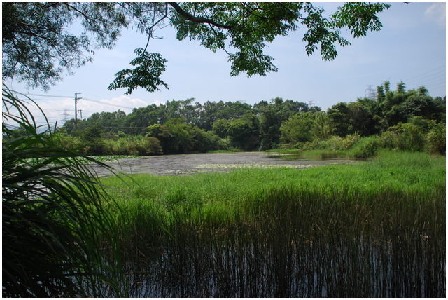 按此在新視窗瀏覽圖片