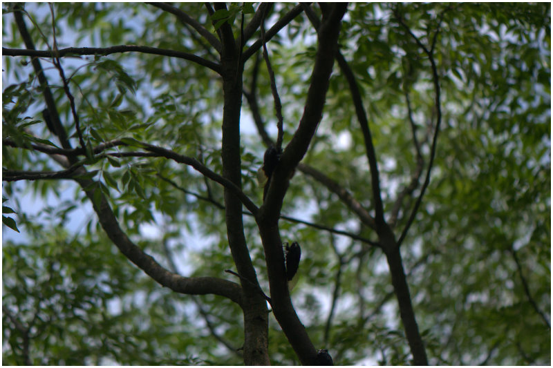 按此在新視窗瀏覽圖片