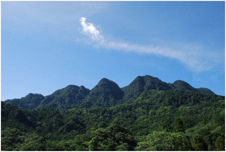 «ö¦¹¦b·sµøµ¡ÂsÄý¹Ï¤ù