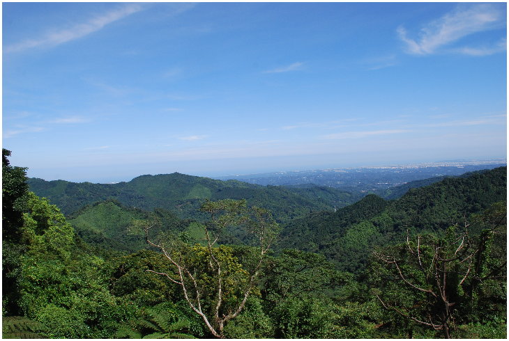 «ö¦¹¦b·sµøµ¡ÂsÄý¹Ï¤ù