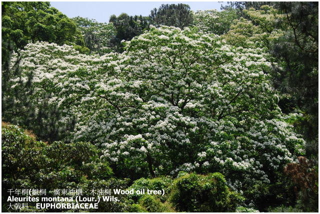 «ö¦¹¦b·sµøµ¡ÂsÄý¹Ï¤ù