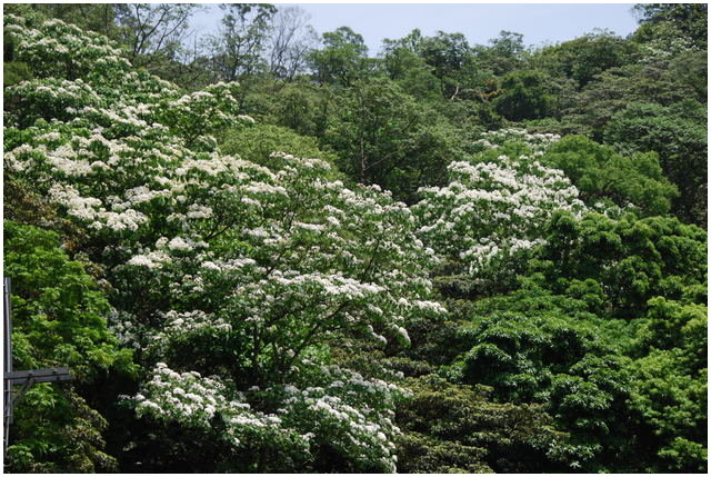 «ö¦¹¦b·sµøµ¡ÂsÄý¹Ï¤ù