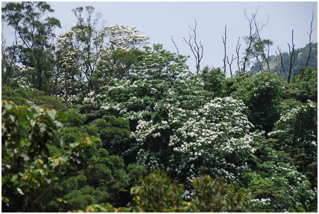 «ö¦¹¦b·sµøµ¡ÂsÄý¹Ï¤ù