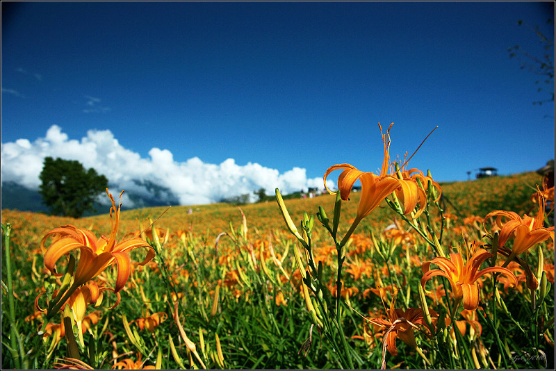 按此在新視窗瀏覽圖片