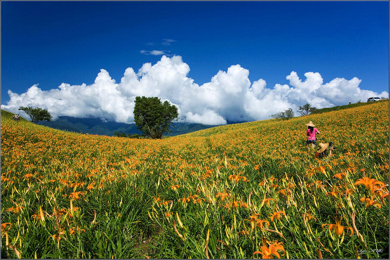 按此在新視窗瀏覽圖片