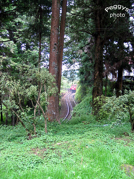 按此在新視窗瀏覽圖片