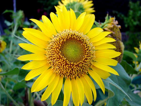 按此在新視窗瀏覽圖片