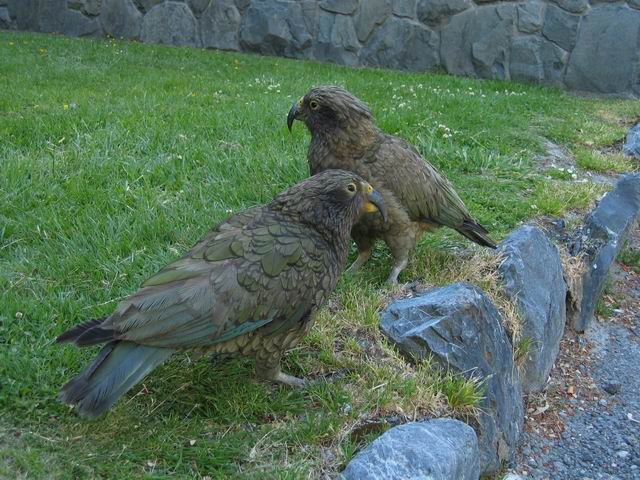 按此在新視窗瀏覽圖片