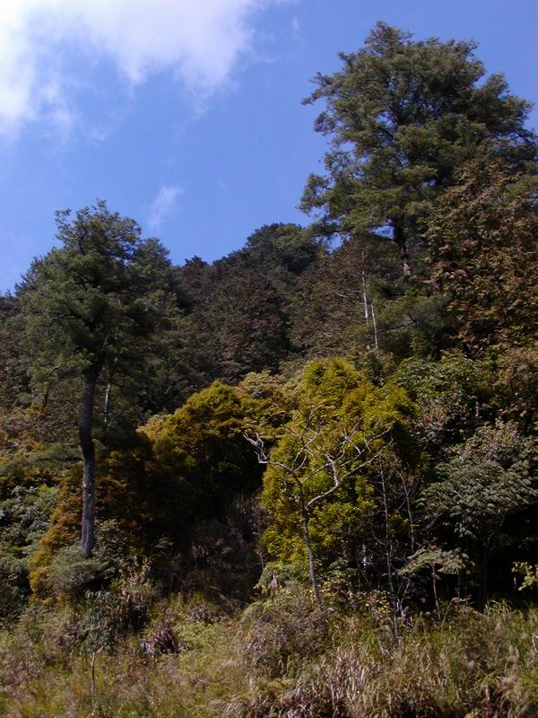 按此在新視窗瀏覽圖片