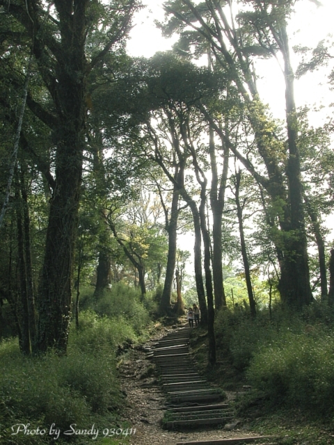 按此在新視窗瀏覽圖片