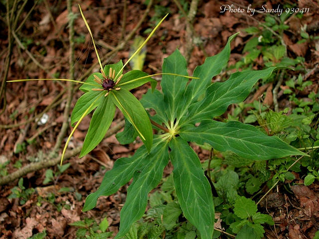 按此在新視窗瀏覽圖片