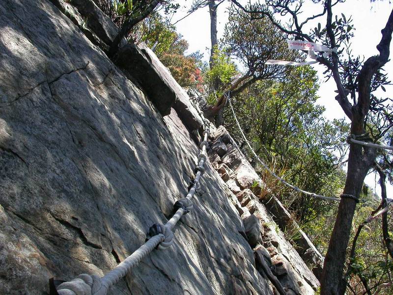 按此在新視窗瀏覽圖片