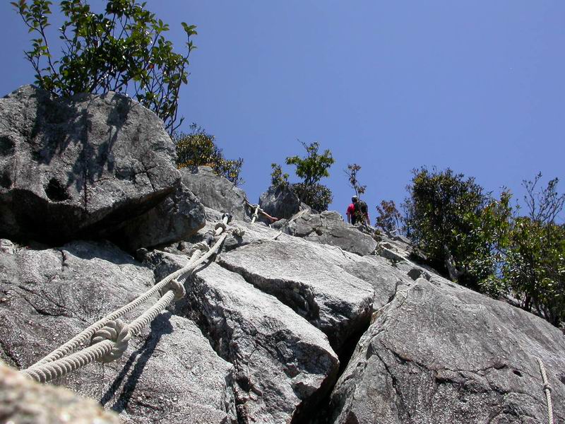 按此在新視窗瀏覽圖片