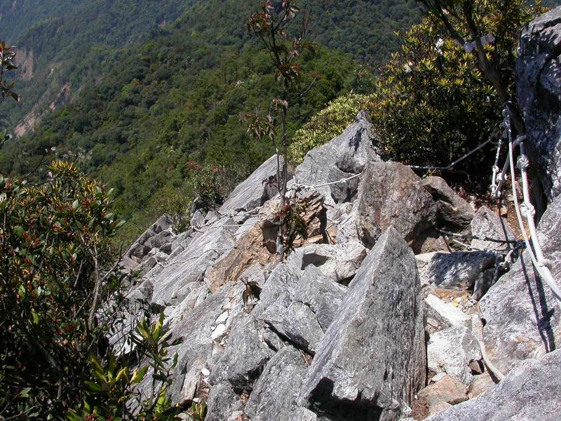 按此在新視窗瀏覽圖片